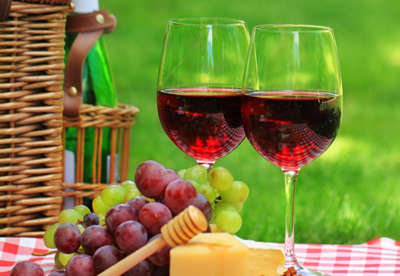 Dan otvorenih vinskih podruma 2015
